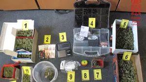Marihuana en cajas de cartón: así se almacenaba la droga en este particular 'supermercado' de Caparroso