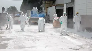 Asirón ya busca al desinfectador con euskera en Pamplona: así será el proceso de contratación