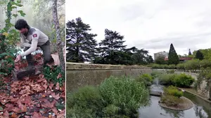 Capturan a un insólito habitante que ha aparecido en un estanque del parque de la Taconera