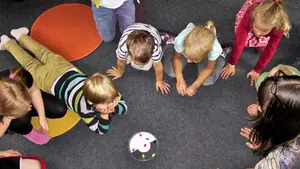 Califican de "manipuladora y excluyente" la campaña propagandística de Asirón a favor del modelo D