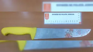 Un hombre ataca con un cuchillo de grandes dimensiones a tres personas en un bar de Caparroso