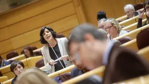 Idoia Villanueva (Podemos) destaca su "lucha" en el Senado contra los recursos a leyes navarras
