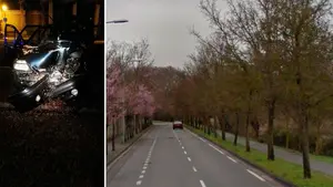 Heridos cuatro jóvenes tras estamparse contra un árbol al conducir a gran velocidad por la carretera del cementerio