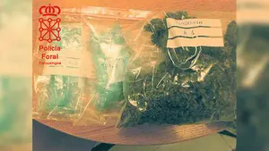 Detenidos por traficar con drogas y resistirse a golpes contra el policía que los cacheaba en Tudela