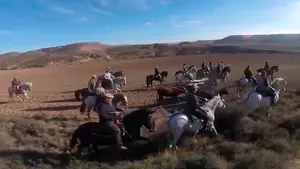 A caballo para despedir el año: vecinos de Fustiñana realizan la última trashumancia de 2017