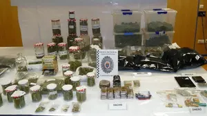 La morada de la droga: incautan más de 8 kilos de marihuana y hachís en una bajera de Iturrama
