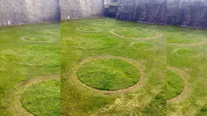 Los jardineros de Pamplona y 11 colegios se unen para convertir los fosos de la Ciudadela en el Universo