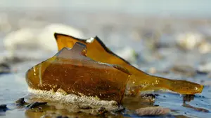 Noche de lesiones y denuncias: la policía frena hasta 4 reyertas en Pamplona durante la madrugada