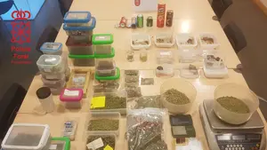 Sorpresa inesperada: llegan a comprar droga a un piso en Ansoáin cuando la policía lo registraba