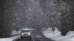 La primera nevada en Navarra obliga al uso de cadenas en varias carreteras de la red