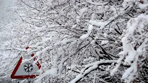 Pamplona acoge un total de 740 pernoctaciones por la ola de frío de este último mes