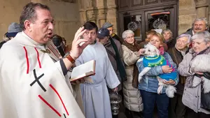 Turno de los animales: las mascotas de Pamplona reciben en San Nicolás la bendición de San Antón