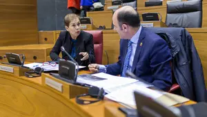 Las palabras de Tapia sobre las "cuatro capitales vascas" dejan de ser un "anhelo político" para Barkos