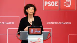 El PSN pide a su propio gobierno el Instituto Navarro de Finanzas para 2022