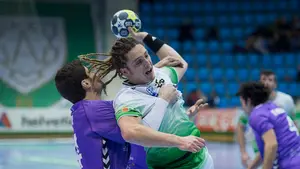 El Helvetia Anaitasuna reanuda la liga asobal con un empate ante el Guadalajara