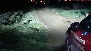 Colisión 'animal': un accidente de tráfico en Carcastillo se salda con la muerte de una nutria