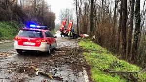 Se 'anda' por las ramas en Amaiur y acaba despeñando su camión por la cuneta