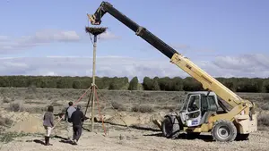 Un municipio navarro quiere recuperar las cigüeñas en sus calles: así se vuelcan sus vecinos con estas aves