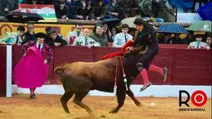Otra novillera corneada, la segunda en una semana: así ha sido la cogida a María del Mar Santos