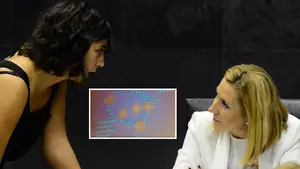  "Calladita estás más guapa": monumental 'pelea' entre parlamentarias por llamar a Navarra "País Vasco sur"