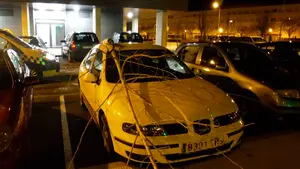 Noche de estupidez en Pamplona: borrachos que se atrincheran en la basura y gente jugando a lanzar árboles