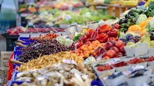 Los productores ecológicos de Navarra contarán con un centro de acopio que se ubicará en Noáin