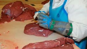 Fraude a la Seguridad Social en Navarra: unos 1.500 falsos autónomos trabajan en "condiciones de esclavitud"