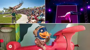 Aventura y diversión en Sendaviva: el parque navarro de la naturaleza abre en Semana Santa con un servicio de autobús