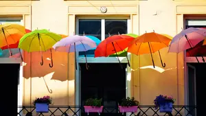 Un singular concurso busca 'vestir' de primavera las fachadas del Casco Antiguo de Pamplona: estos son los premios