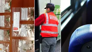 A clase cargados de droga: la policía incauta hachís y cannabis en un autobús escolar hacia Marcilla