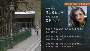La madre de la chica de 14 años desaparecida en Pamplona: "Cuando bajamos al portal se escapó"