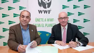 El Corte Inglés sella un acuerdo con WWF España para lanzar un "programa de acciones sostenibles"