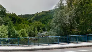 El salmón llega a Navarra: ya alcanza la parte alta del Bidasoa y consolida su presencia en el Leizarán