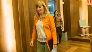 El Instituto de la Memoria del cuatripartito indagar&aacute; en la Guerra Civil, ETA y la "violencia policial"