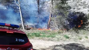 Llevaba siete mecheros y no fumaba: detenido el pirómano que incendió parte de 'El Pilón' de Falces