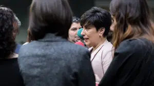 El PNV reclama a Bruselas que condene el acoso a Solana por parte del "radicalismo extremista"