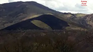 Buscan a los culpables que incendiaron un monte en Arizcun y calcinaron una gran repoblaci&oacute;n de &aacute;rboles