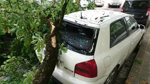Una enorme rama se desprende de un árbol en Pamplona y destroza un coche