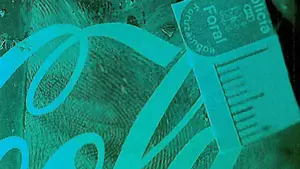 Un brindis por su robo: se pone a beber en la casa que atraca en Villava y le pillan por sus huellas