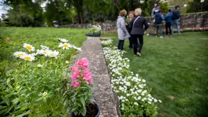 Pamplona activa las alertas a ciudadanos para conocer en todo momento los niveles de polen