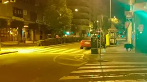 Como un peatón más: fotografían a un jabalí dando un 'paseo' de noche por Burlada