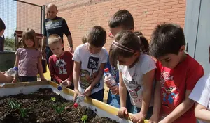 Cuatro centros infantiles de Pamplona aprender&aacute;n el pr&oacute;ximo curso a trabajar en una huerta ecol&oacute;gica