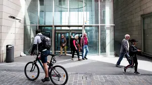 ¿Pueden entrar animales y bicis en los ascensores urbanos? Las nuevas normas de Pamplona zanjan las dudas