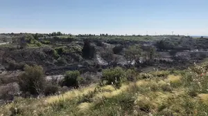 Logran controlar tras dos horas de lucha un incendio forestal que ha quemado 10 hectáreas en Mélida