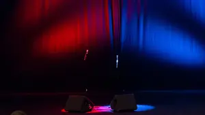 Suspenden la obra de una artista internacional que estaba programada para el Teatro Gayarre