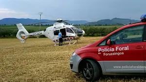 Trasladado en helicóptero al CHN: herido muy grave al caer desde una palomera en Saldías