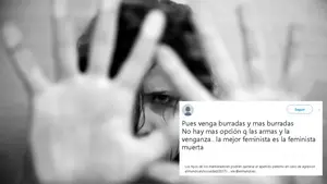 "La mejor feminista es la feminista muerta": Navarra ayuda a detener las amenazas de un hombre en Internet