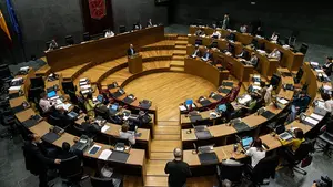 El Parlamento de Navarra muestra su "disconformidad" con la puesta en libertad provisional de 'La Manada'