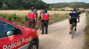 Navarra montará un dispositivo especial para mejorar la seguridad del Camino de Santiago