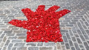 Denuncian una agresión sexual durante fiestas de Orkoyen: "No hay que permanecer impasibles frente a la violencia"